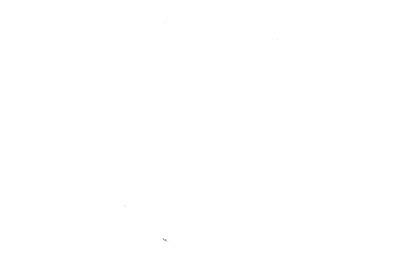 Nasara Data App Logo